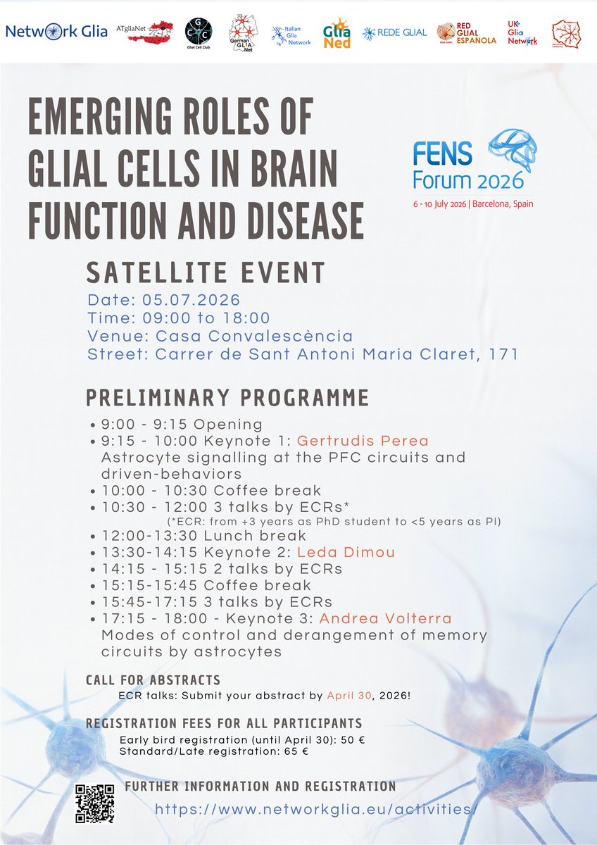 European Glial Meeting 2027 tweet media