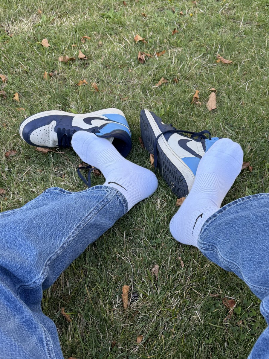 Sauder1mm tweet media