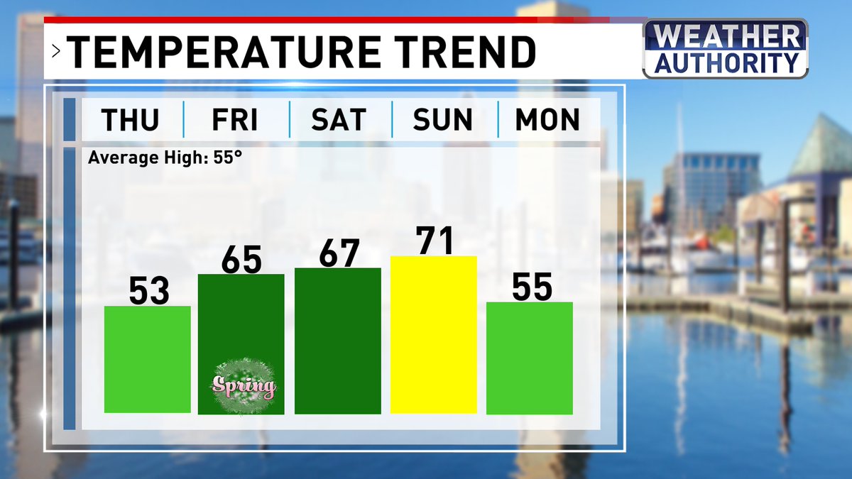 Amy Aaronson tweet media