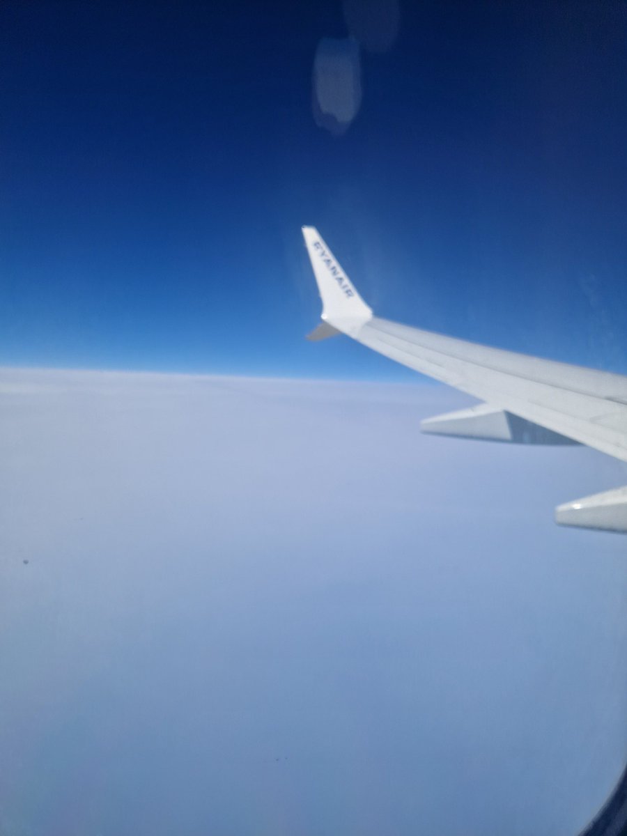 Real Volpe tweet media