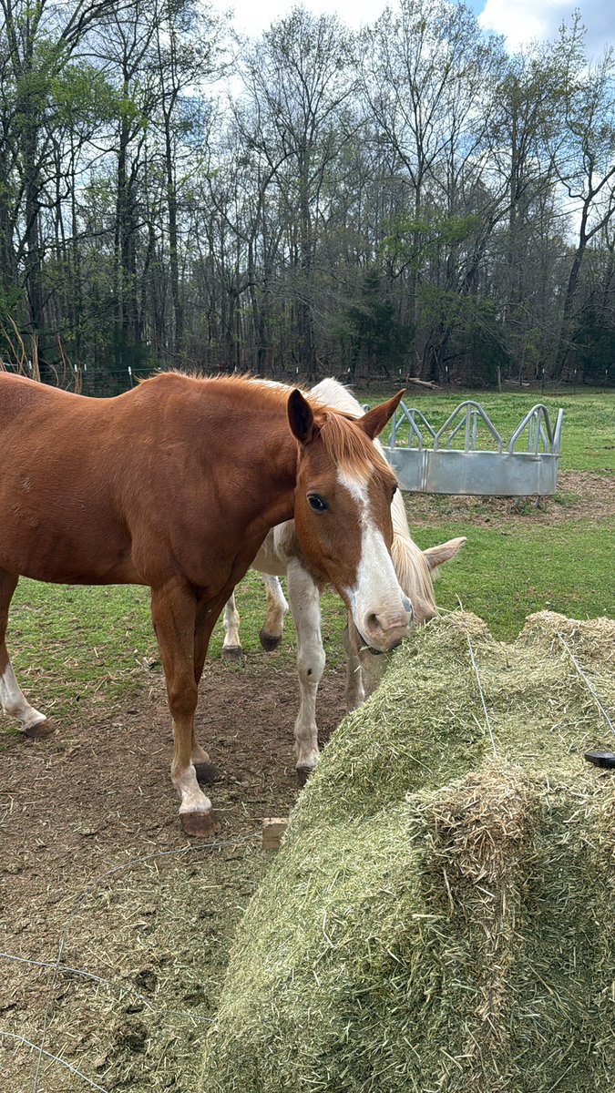 John Morgan tweet media