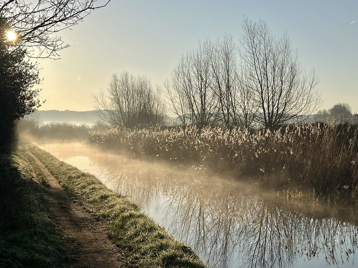 Rob Swift tweet media