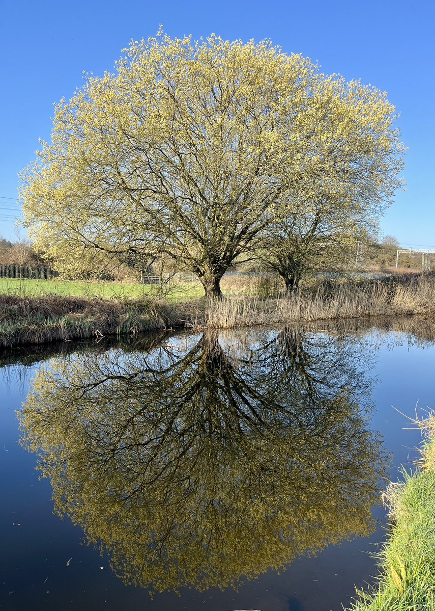 Rob Swift tweet media