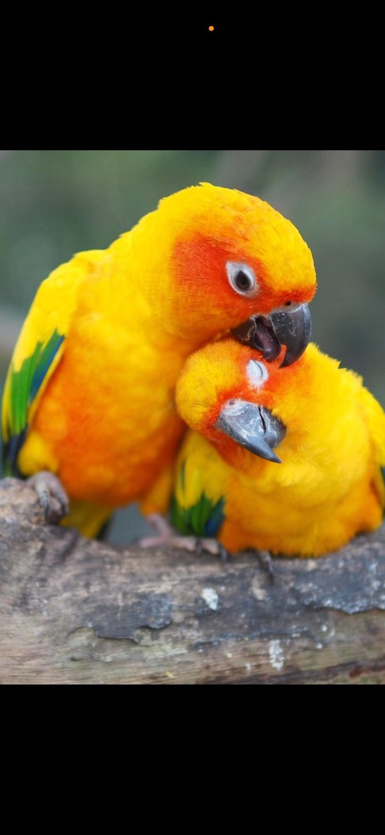 Jim Meakin tweet media