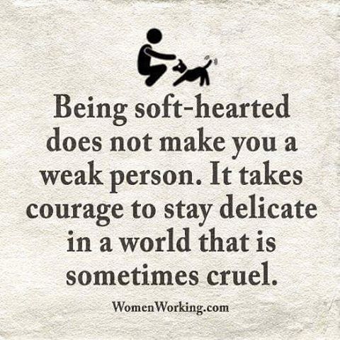 WomenWorking.com tweet media