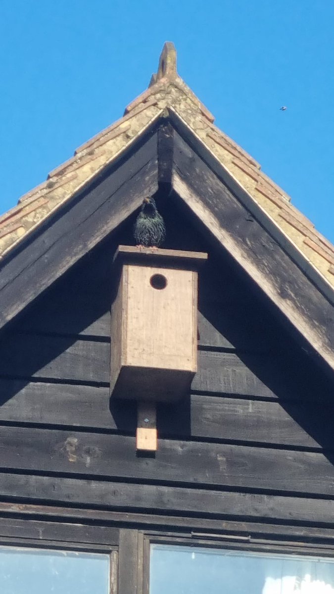 Francis Buner tweet media