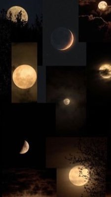 StevenNunex's tweet image. zero to hero in 05 seconds Currently redefining what 'fast' means #movefaster