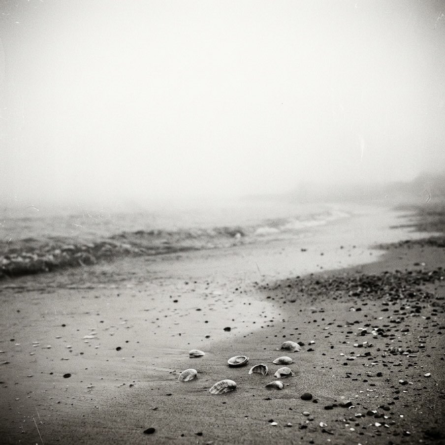 Sitara星落@Offical tweet media