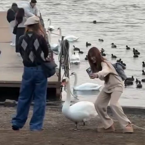 𝕜𝕠𝕚 ࣪𖤐.ᐟ tweet media