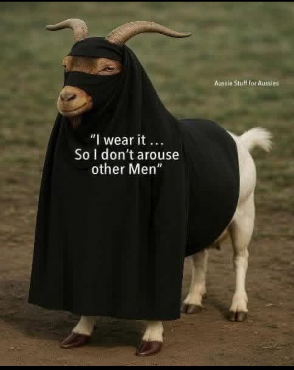 sanatni108b's tweet photo. @realMaalouf 🤣🤣🤣🤣🤣🤣🤣👇 https://t.co/oIRINuhQZu