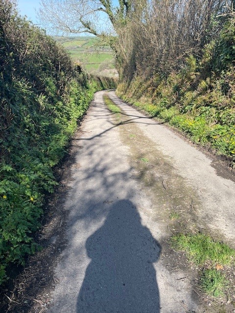 DPT_TALKWORKS's tweet photo. One of the best things we can do to improve our wellbeing is to get fresh air and do something physically active. Some of our clinicians made the most of the Devon sunshine and went out on a lunchtime walk yesterday ☀️
#MovementMonth https://t.co/XN5hCpFzqA