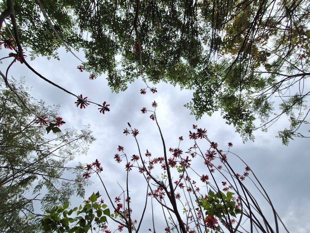 ਕਵੀ🕊 tweet media