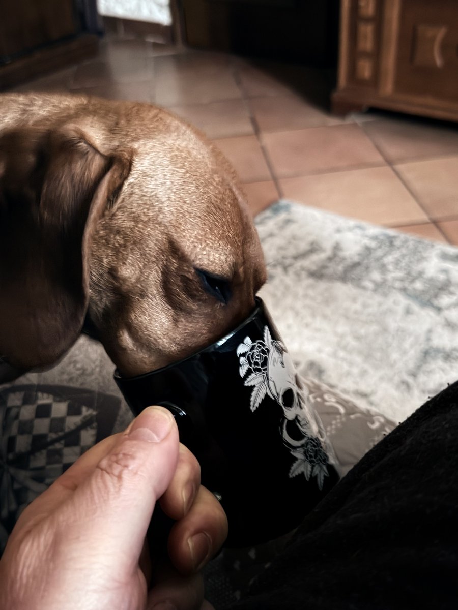 CorradoC1  tweet media