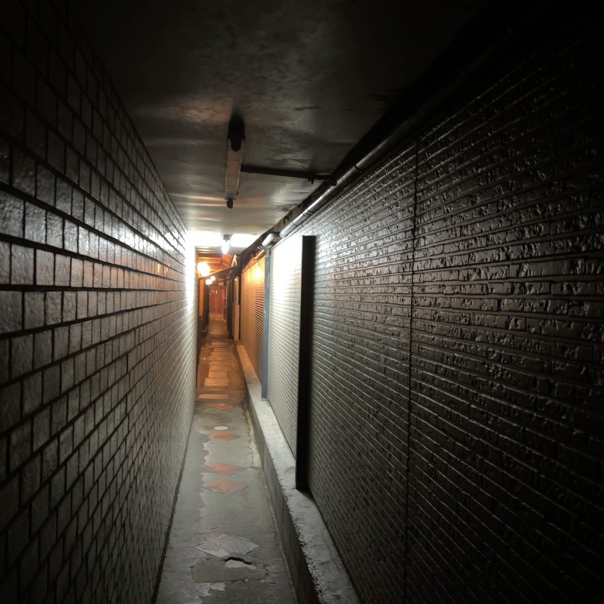 ドイ@エンジニア tweet media