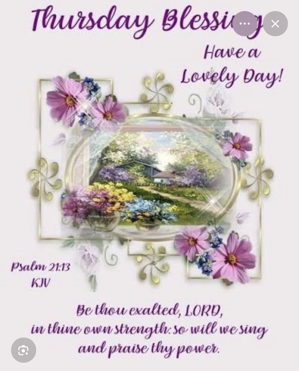 Luz Rivera 🇵🇷 tweet media