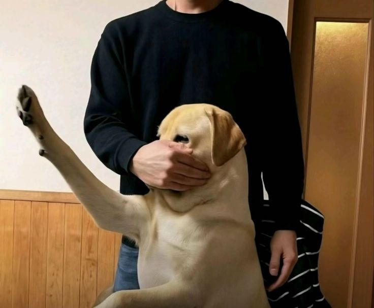 Binance Intern tweet media