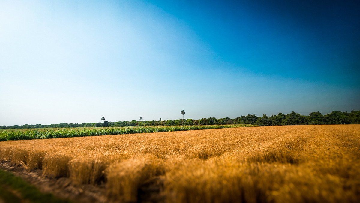 Keval Creates | Video Editor tweet media