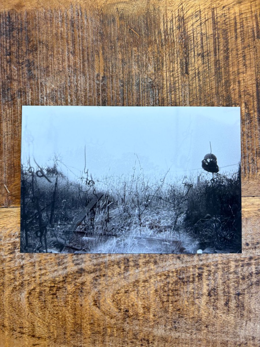 Jack Bowsher - Thunder Run: Meiktila 1945 tweet media