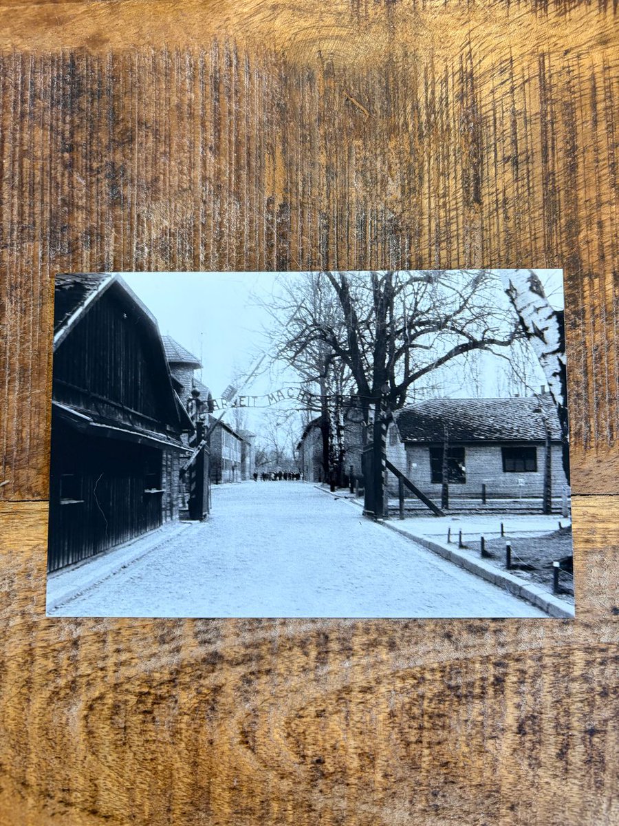 Jack Bowsher - Thunder Run: Meiktila 1945 tweet media