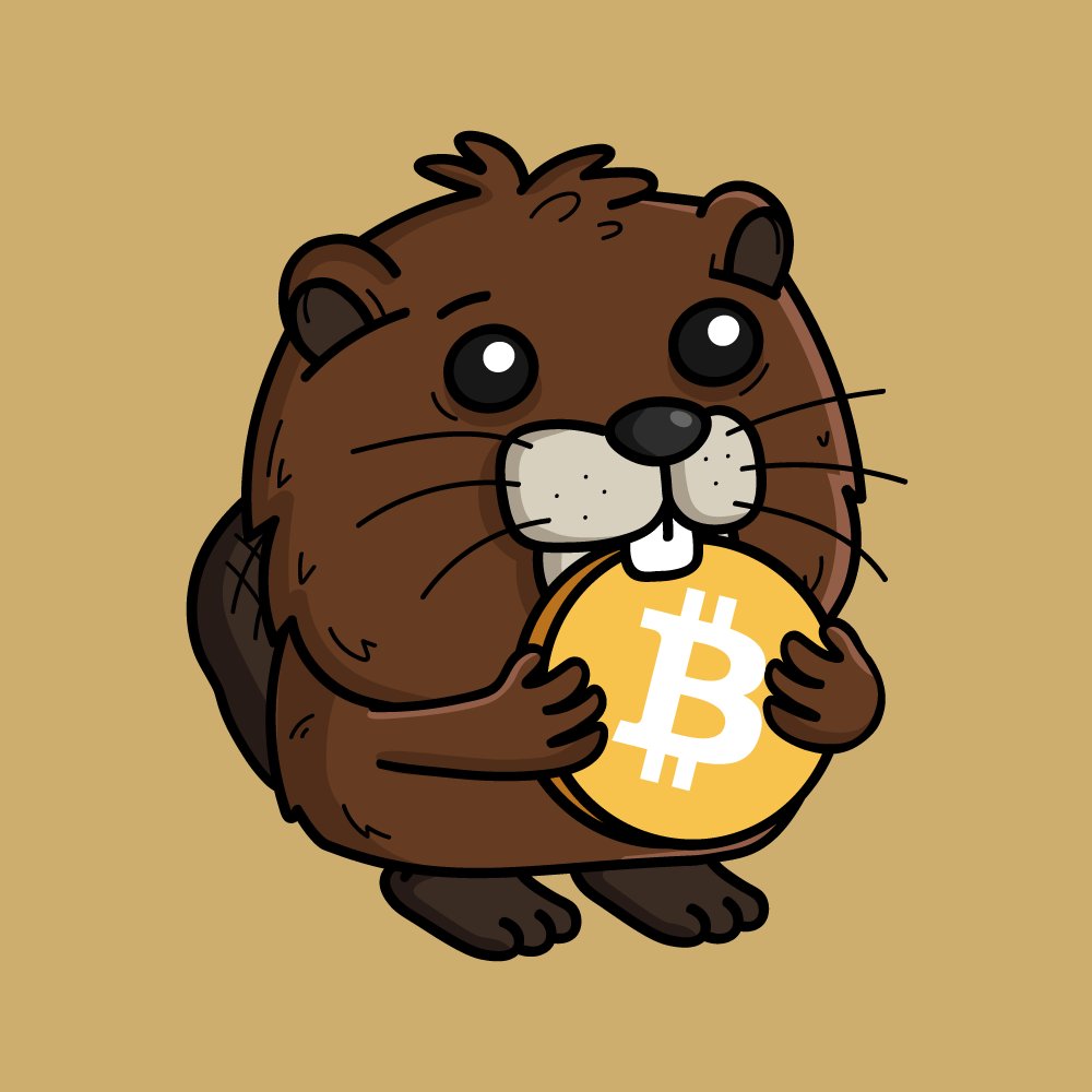 Adrian Bobercea $BOBER tweet media