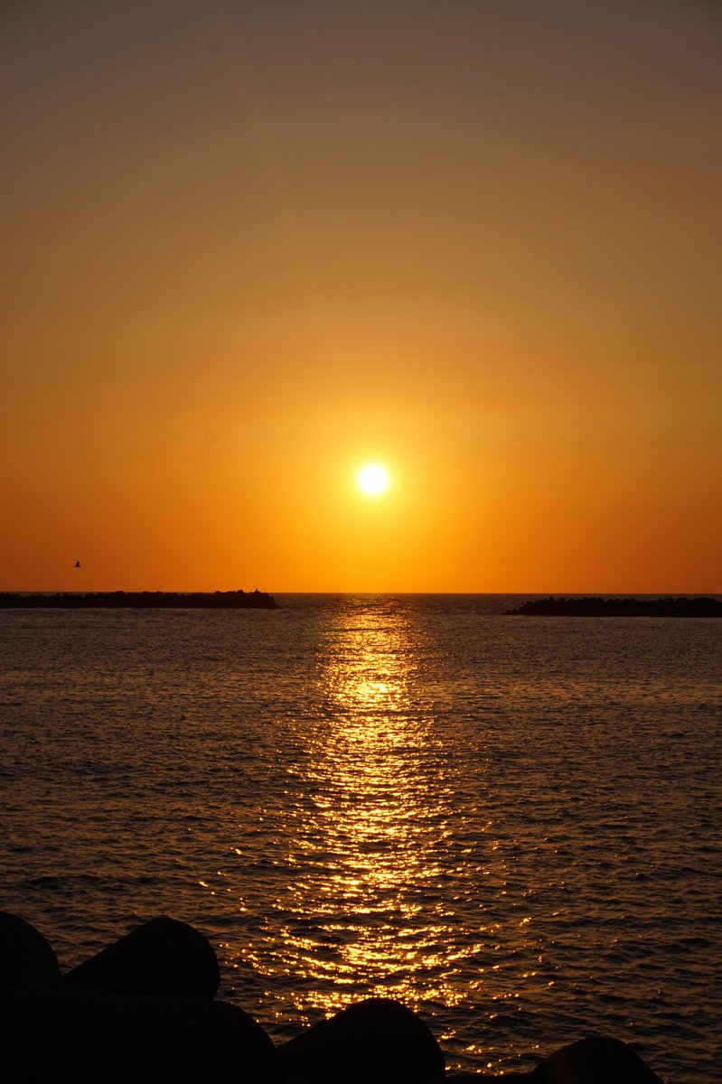 地球の歩き方 tweet media