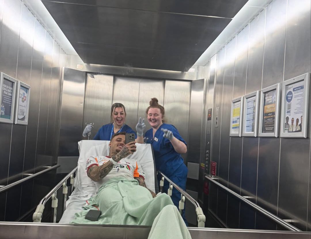 Transfer Web tweet media