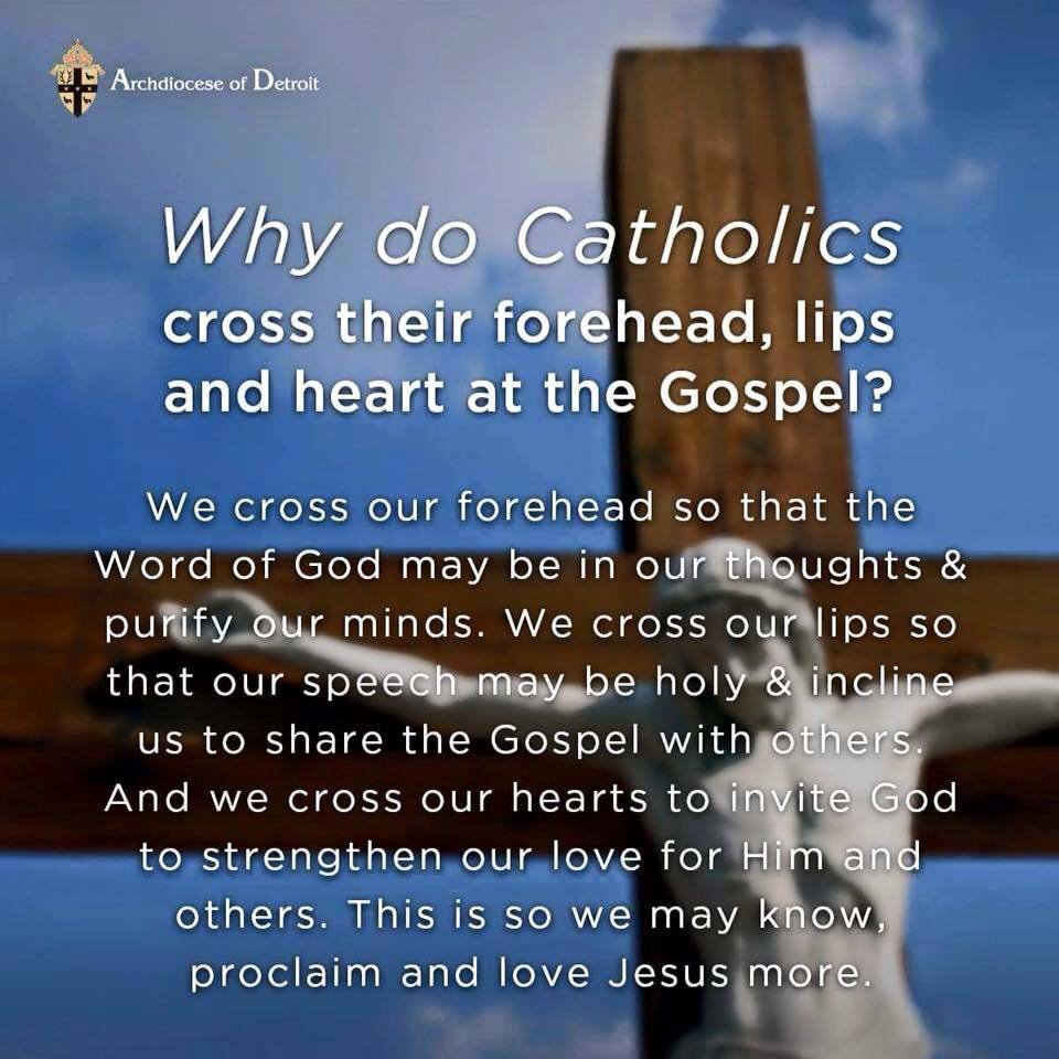 Terence Harrington, OFM. Cap. tweet media