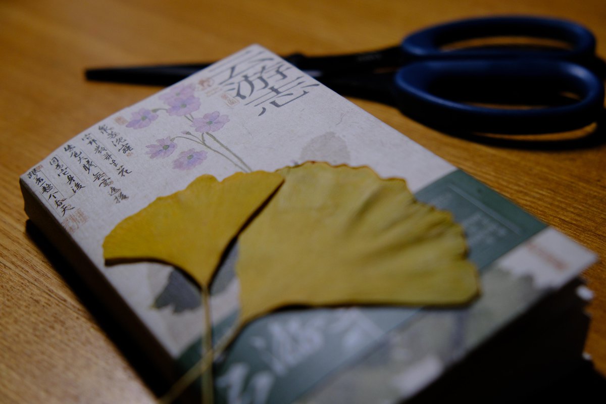 Gironimo Indianer tweet media