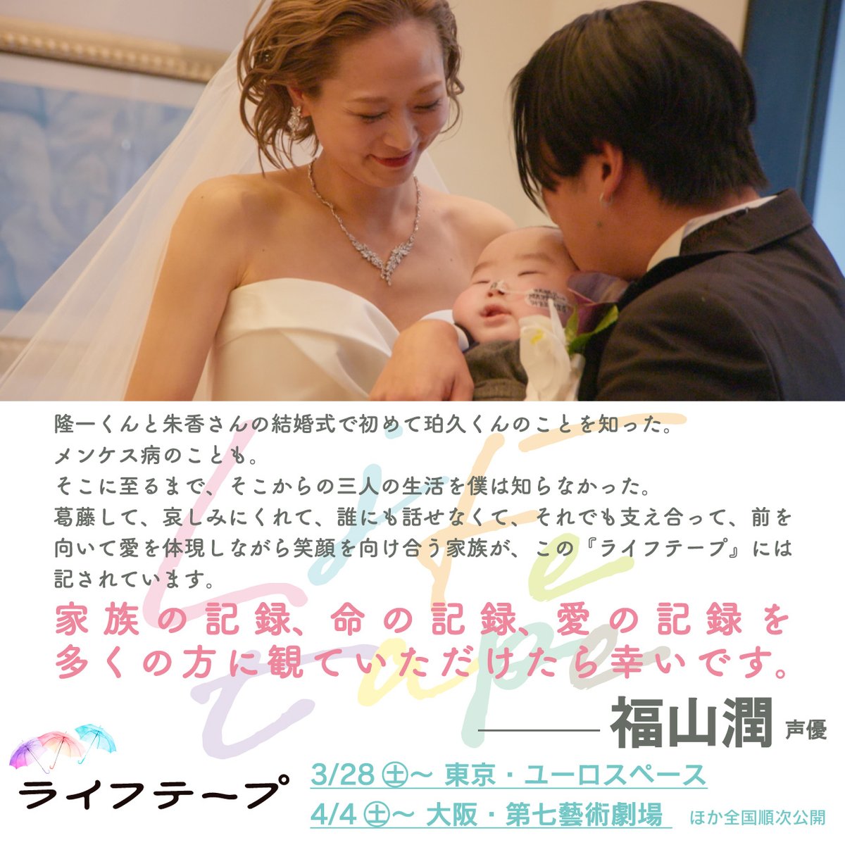 映画配給会社・東風 tweet media