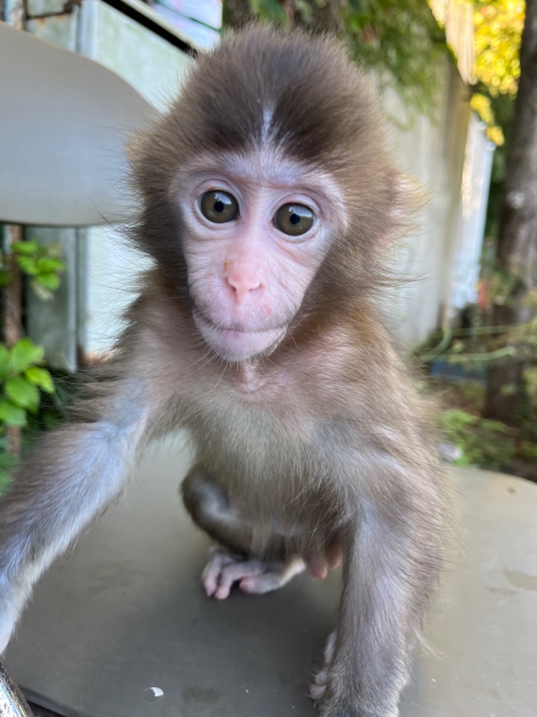 ほくそう プラス【北総鉄道公式】 tweet media