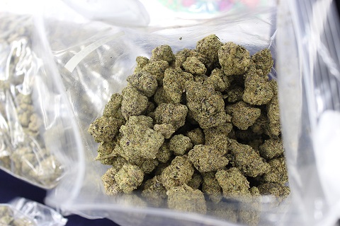 カスタム君 tweet media