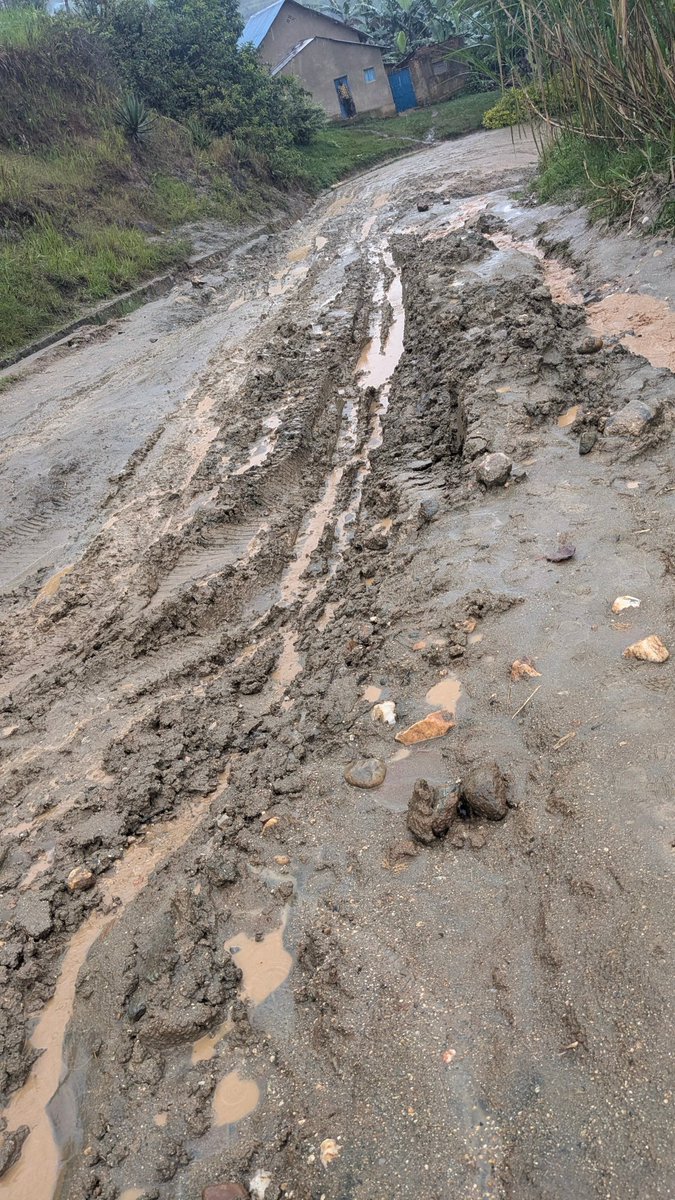 Sam Kabera tweet media