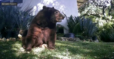 FOX19 NOW tweet media