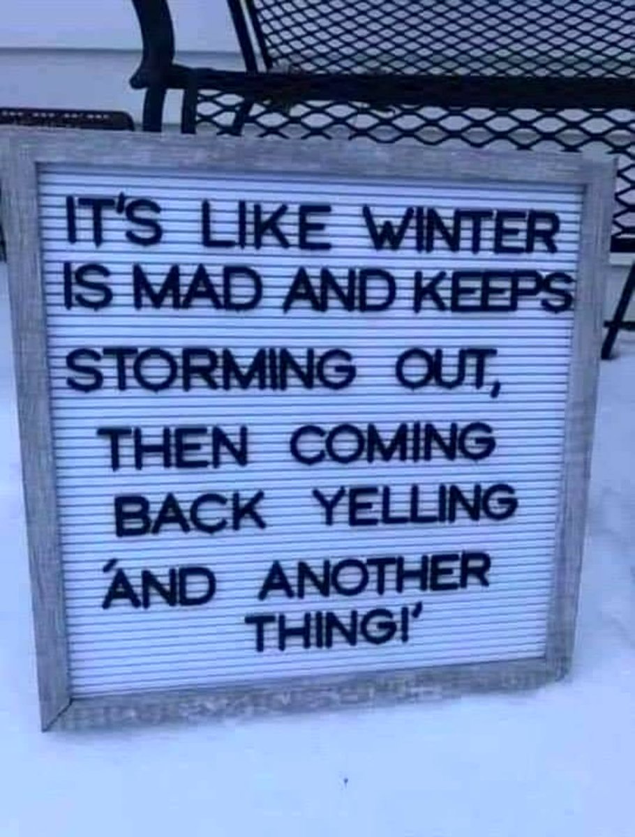 LAnDo NIFFIRG™️🇨🇦 tweet media