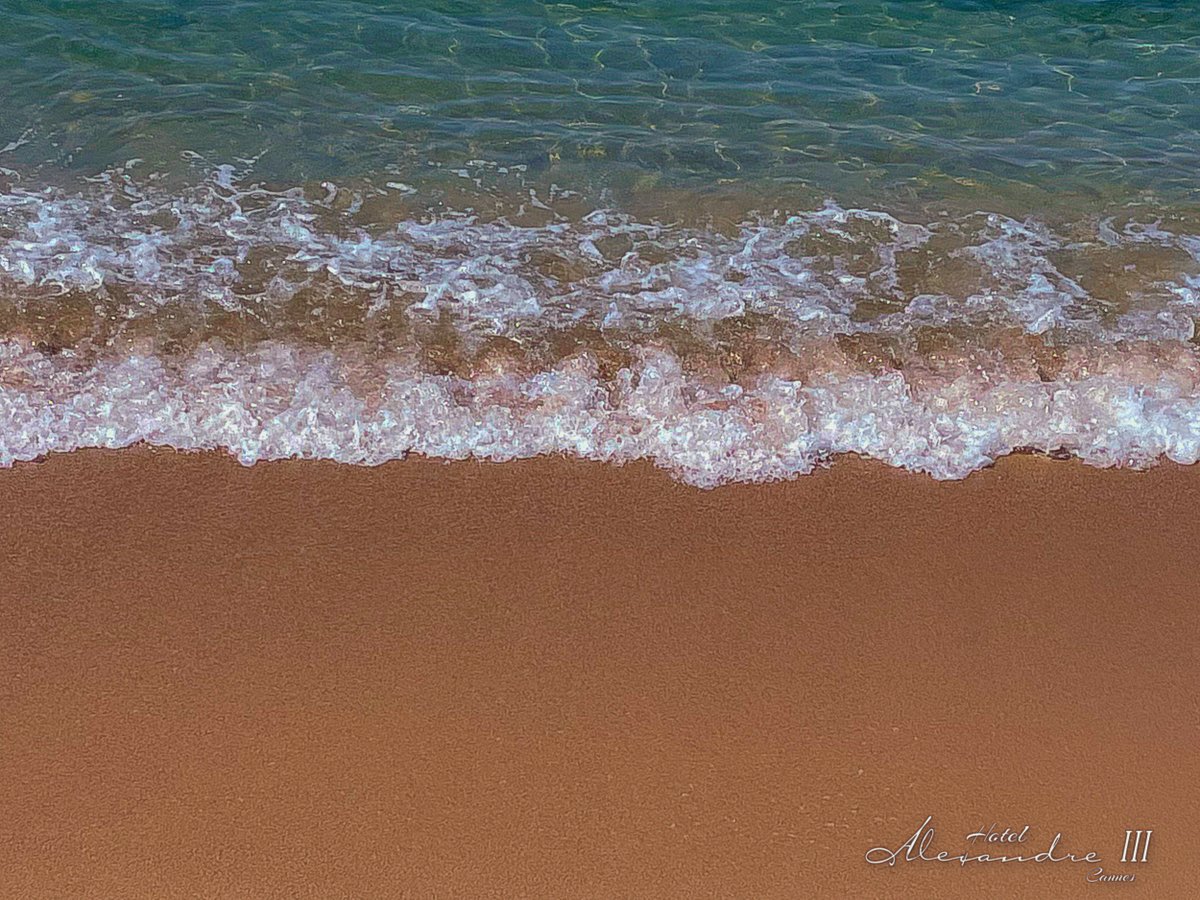 Hotel Alexandre III tweet media