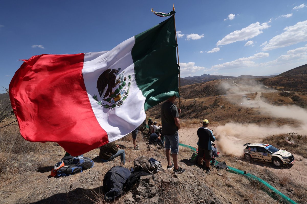 Kajetan Kajetanowicz tweet media