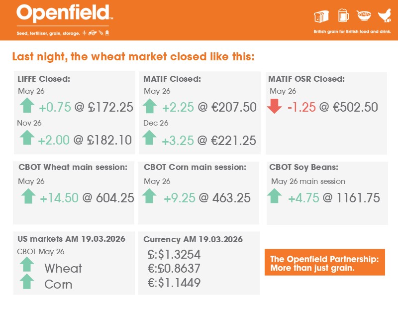 Openfield: More than just grain. tweet media