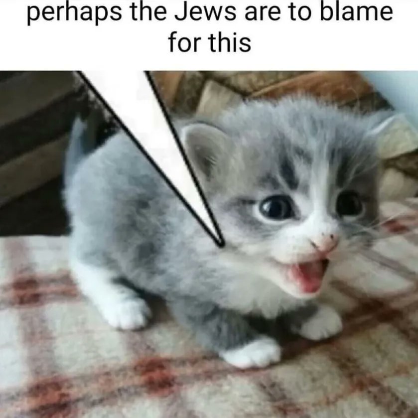 LowHPCel tweet media