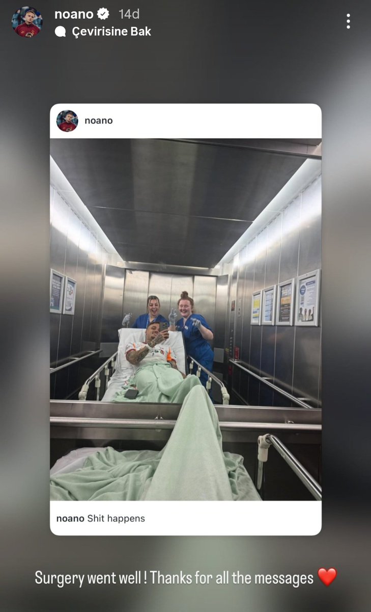 Hᴀɴ Gᴀʟᴀ tweet media