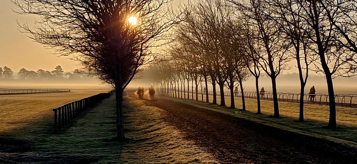 Stuart Williams tweet media