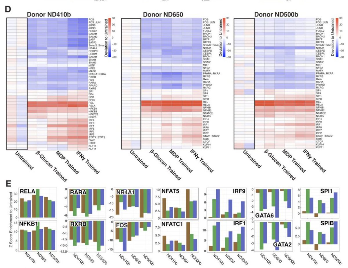Arjun Raj tweet media