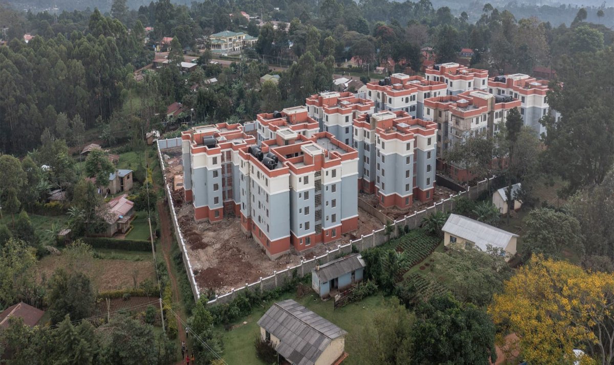 Bianca™ tweet media