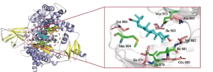 Looking for reliable bioinformatics support? 🔬
Protein interaction prediction | Molecular docking | AI protein screening
Top quality with prices that may surprise you.
👉 Contact us for a quote
ybiohub.com/%E7%94%9F%E7%8…