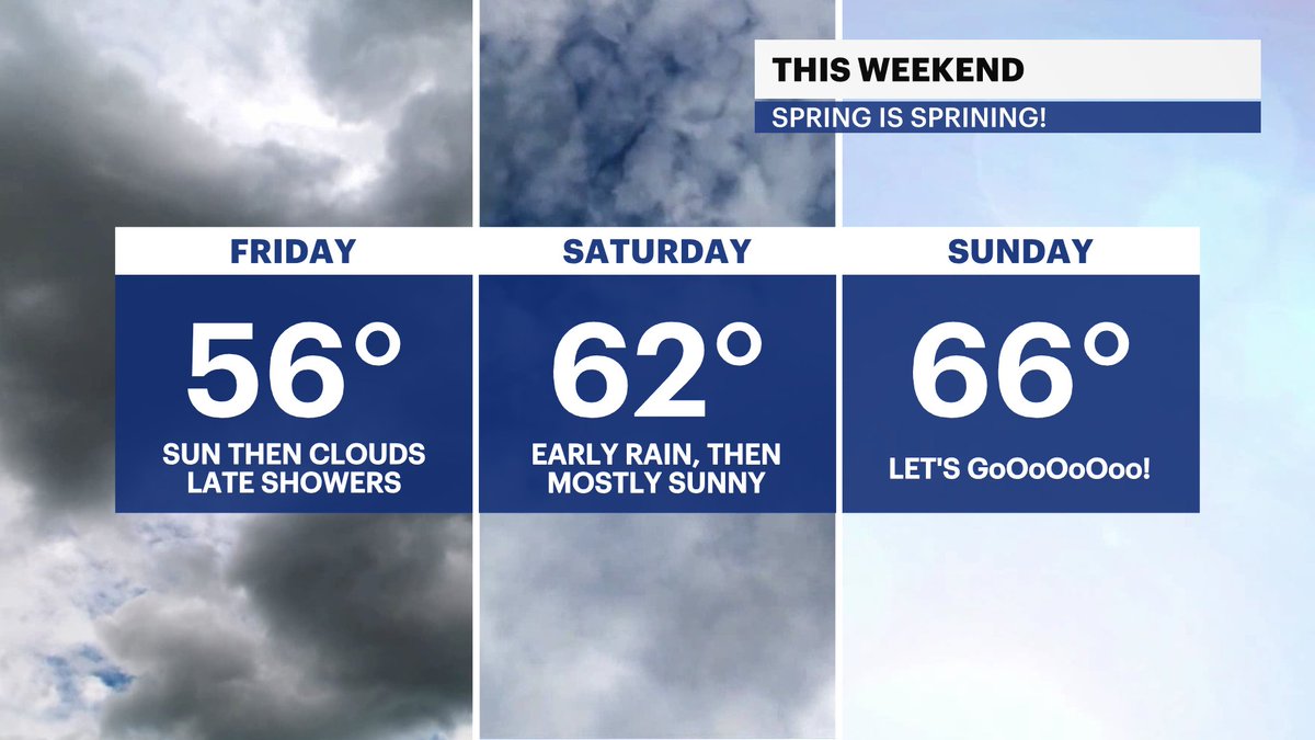 Mike Rizzo tweet media