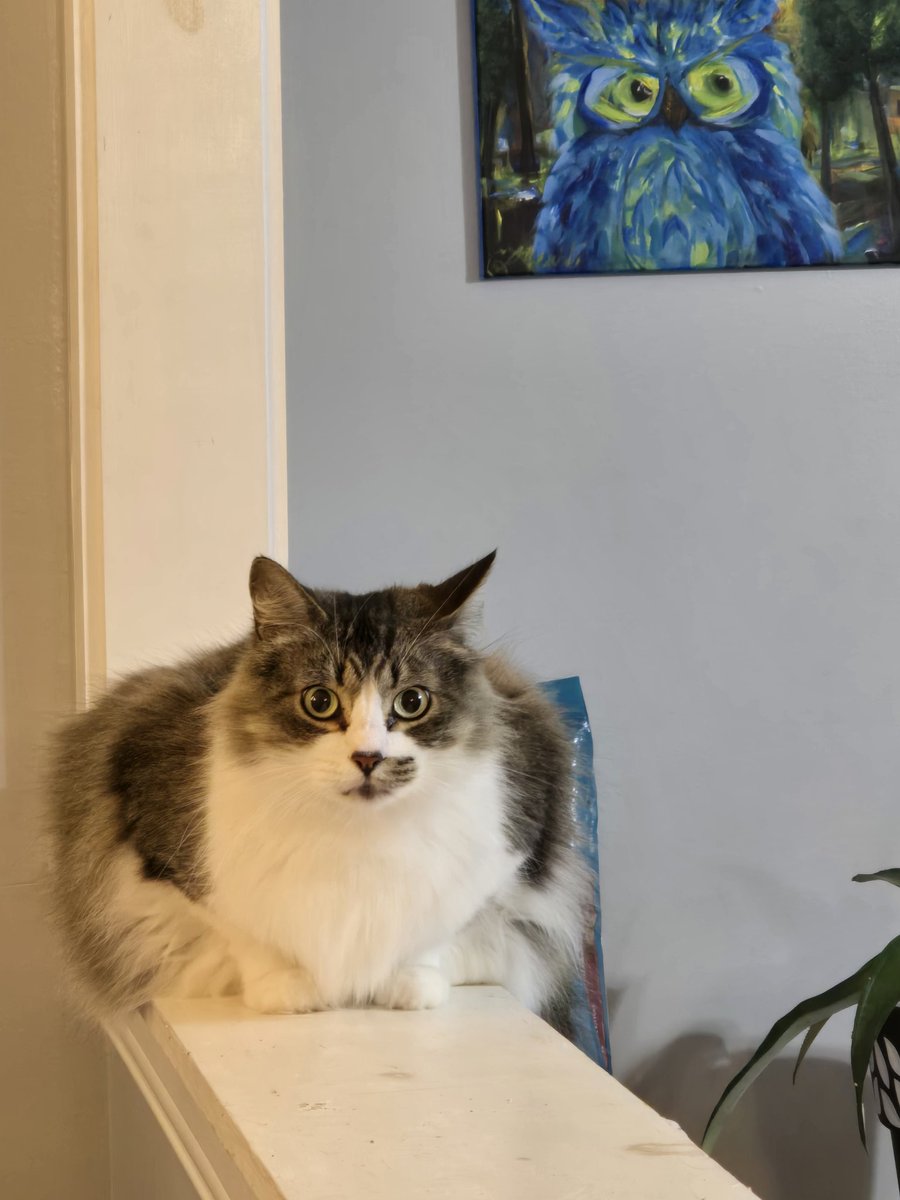 Hamilton tweet media