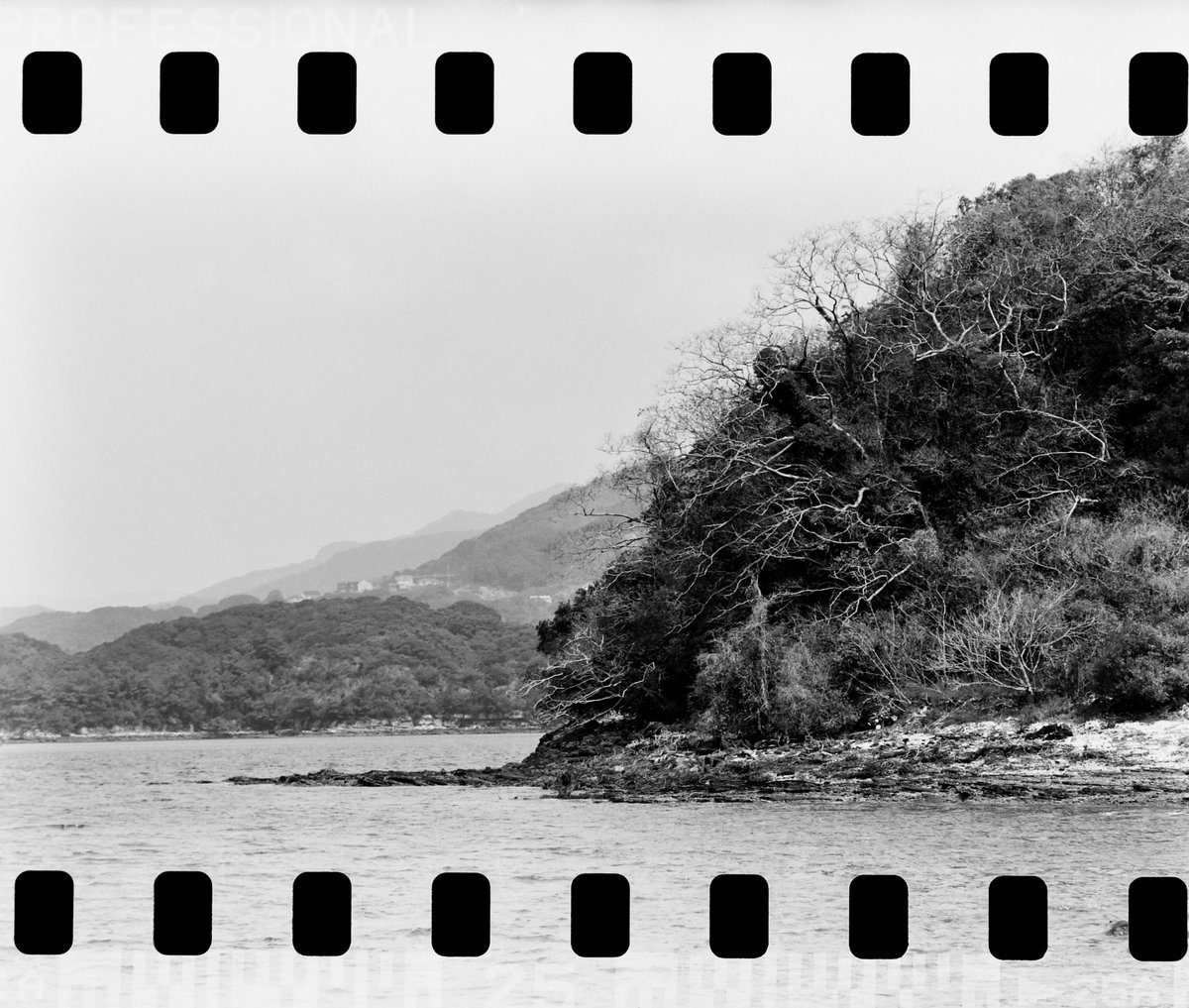 VØNPhoto tweet media