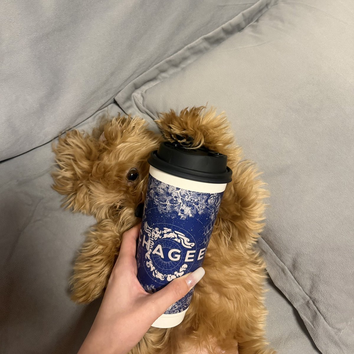 Michill💕 tweet media