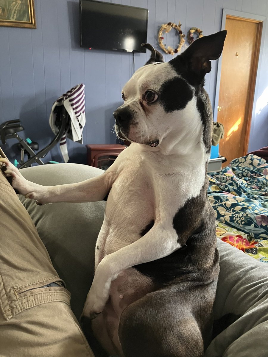 Muskrat Piss 🦫 tweet media