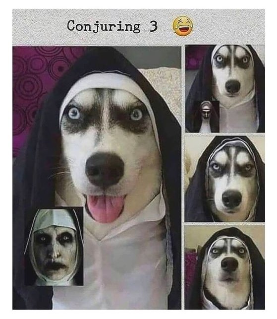 Nicolas DeSilva (☥𝐃𝐁) tweet media