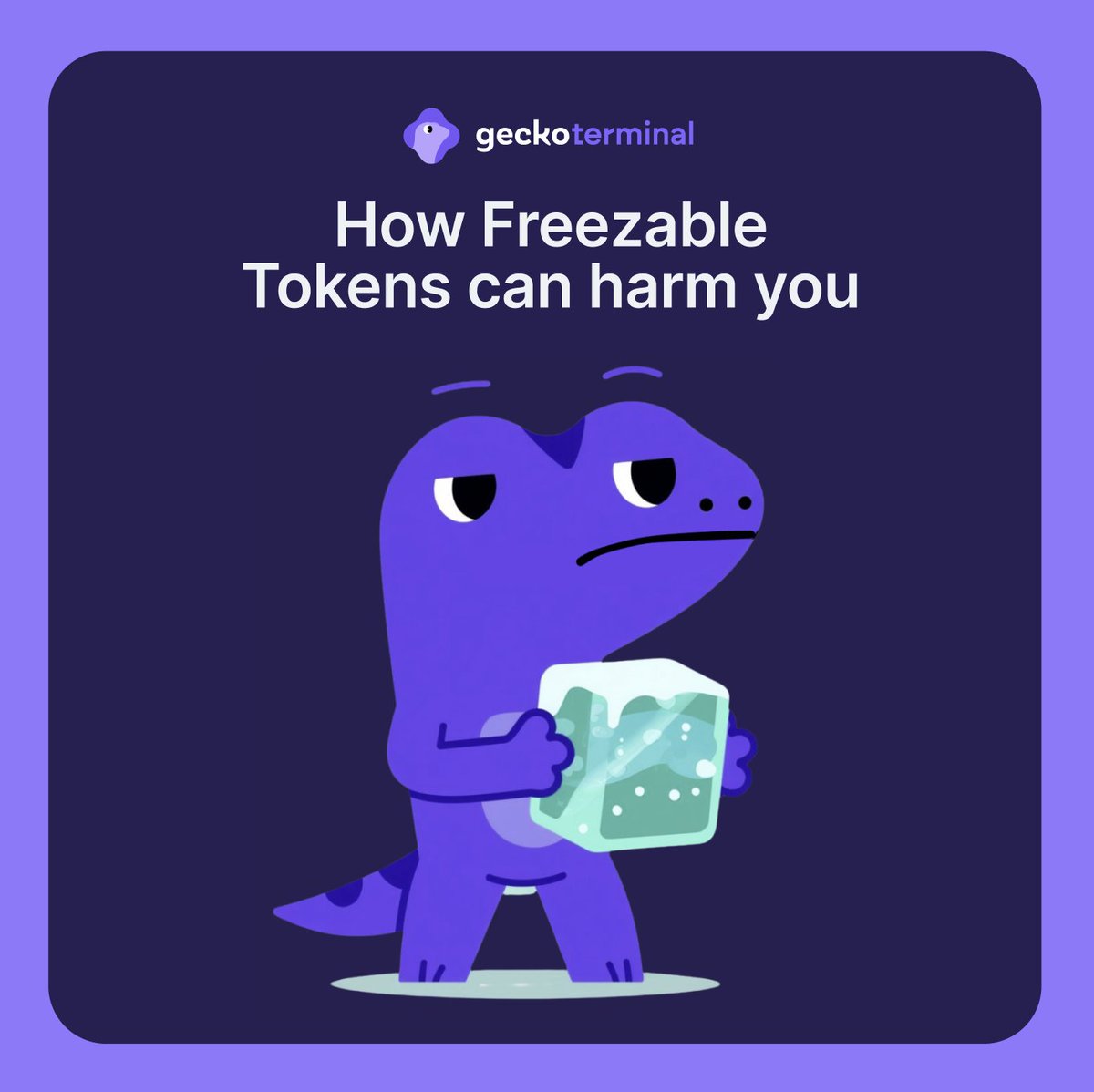 GeckoTerminal tweet media